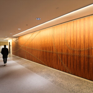 CUSTOM MURAL