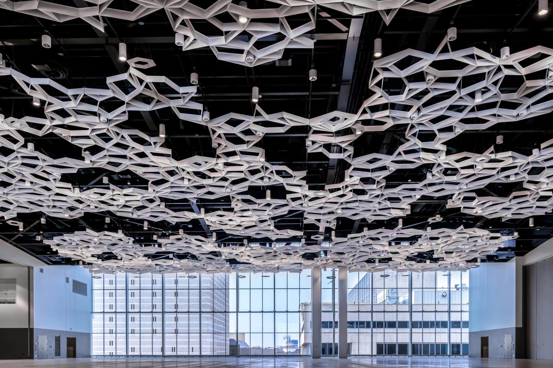 winnipeg rbc convention centre ceiling