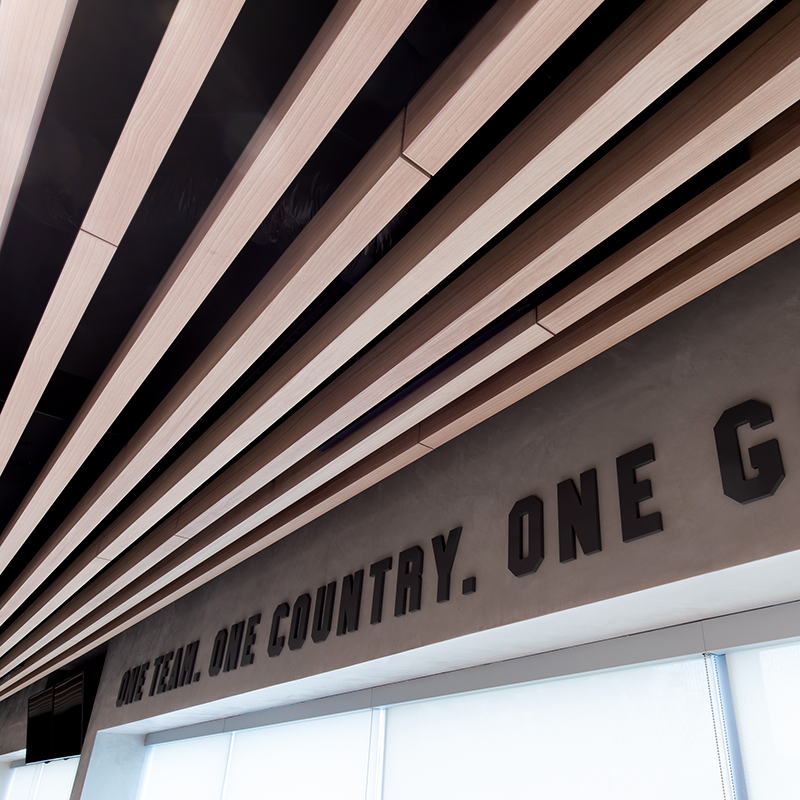 Raptors Larry O'Brien Trophy Case  Trophy case, Baffle ceiling, Athletic  center